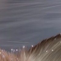 90420622